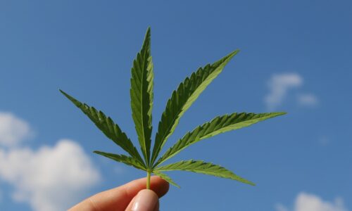 Costa Rica Recreational Cannabis Law