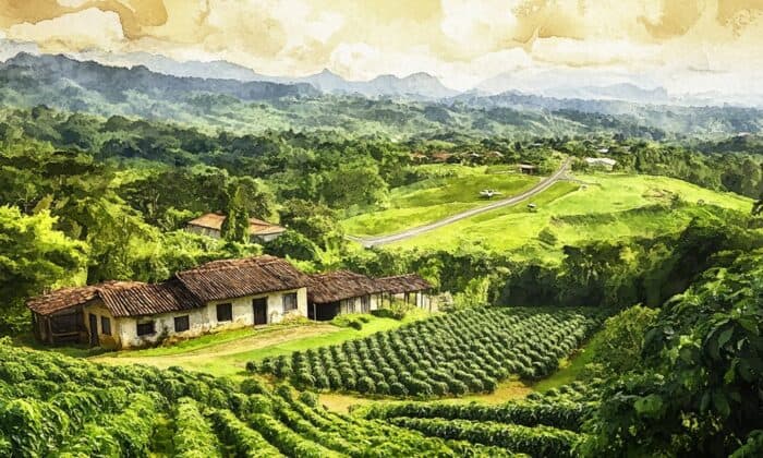 Costa Rica Coffee Farm