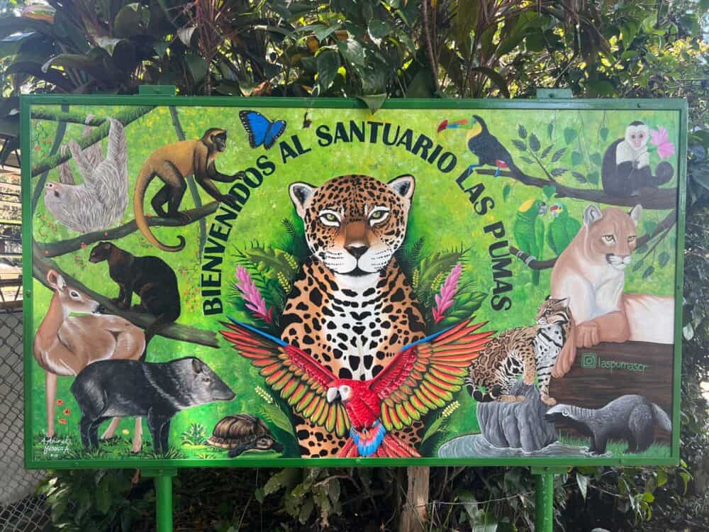 Costa Rica Wildlife Center-Las Pumas