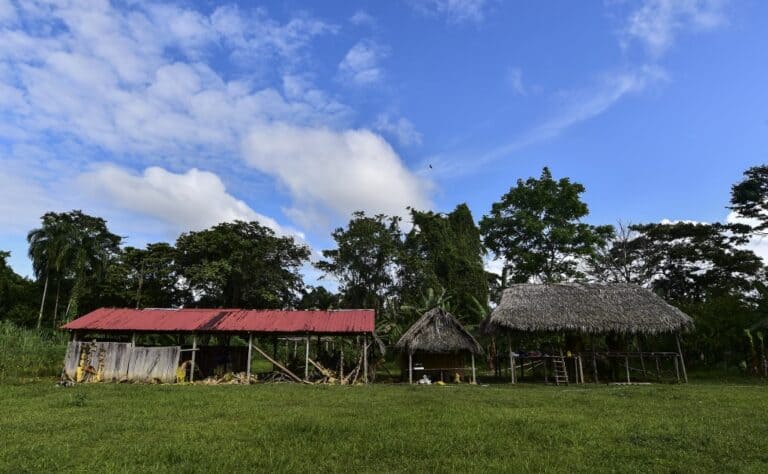 Panama Rescues 11 Children from Religious Sect Abuse in Ngäbe Buglé