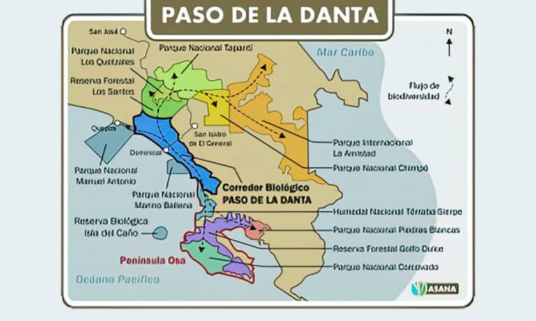 Costa Rica Orders Halt to Illegal Building in Protected Forest
