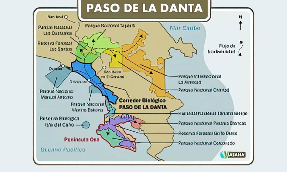Paso la Danta Biological Corridor