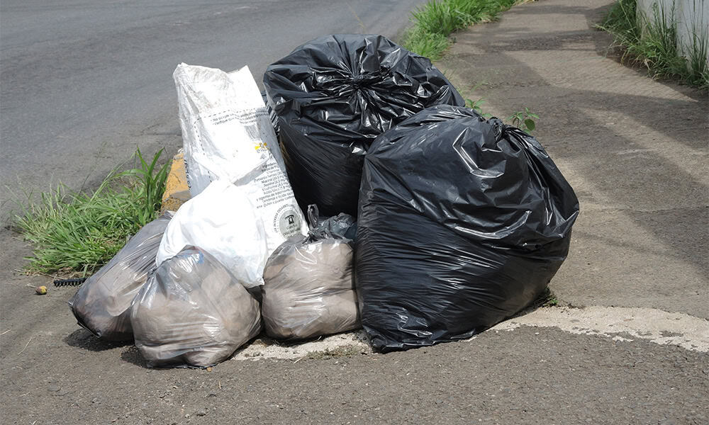 Environment Day