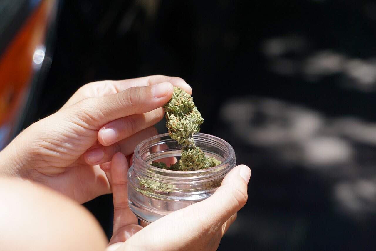 Medical Cannabis in Costa Rica