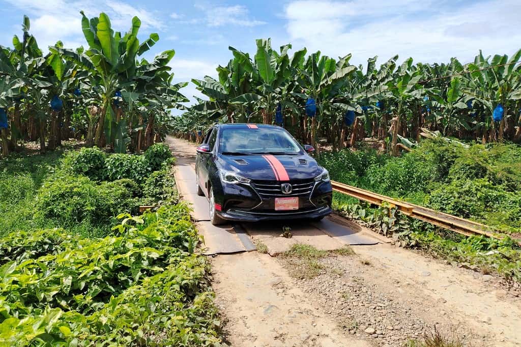 Panama Banana Strike Ends