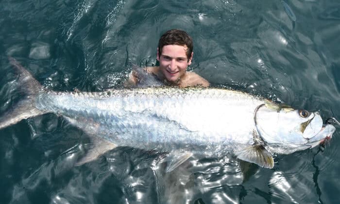 Tarpon in Costa Rica