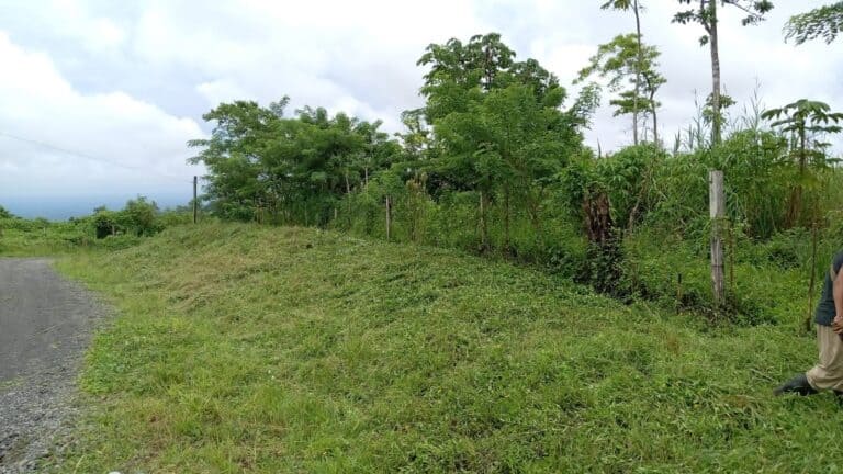 Land for sale in Rio Celeste near La Carolina Lodge