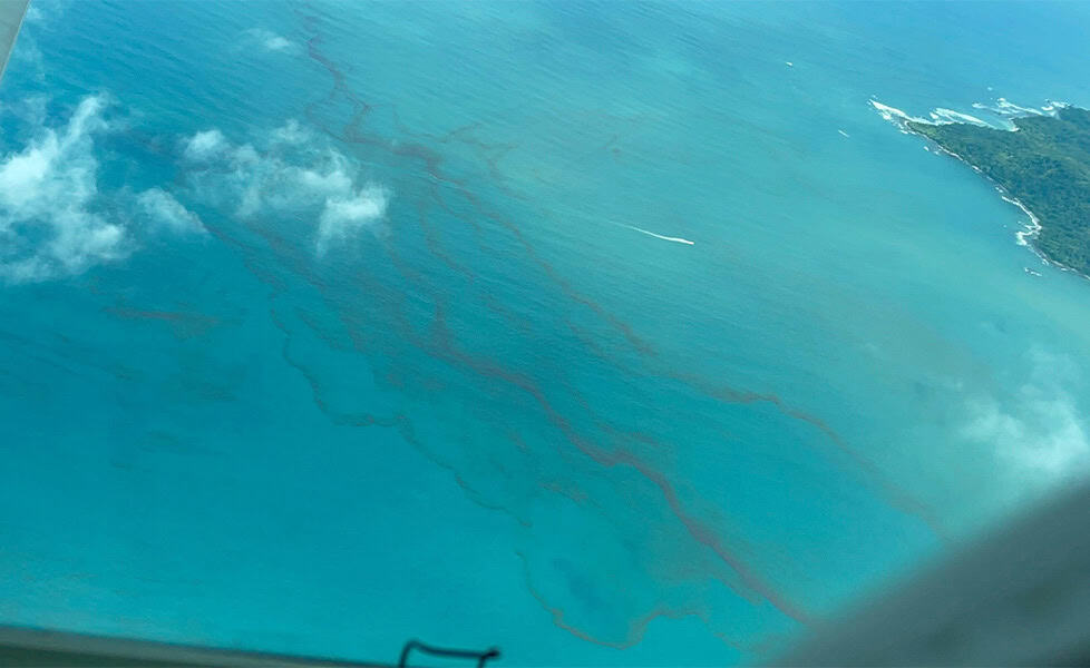 Costa Rica Algal Bloom