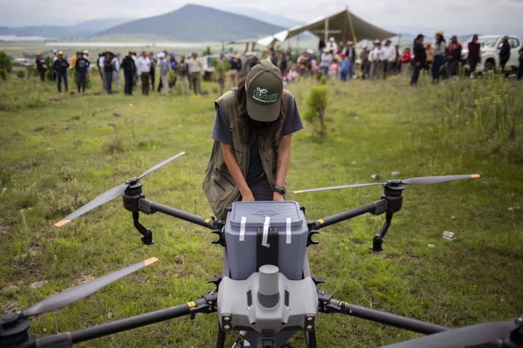 Mexico Drone Reforestation
