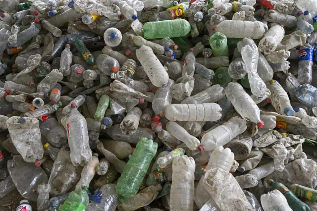 Plastic Pollution