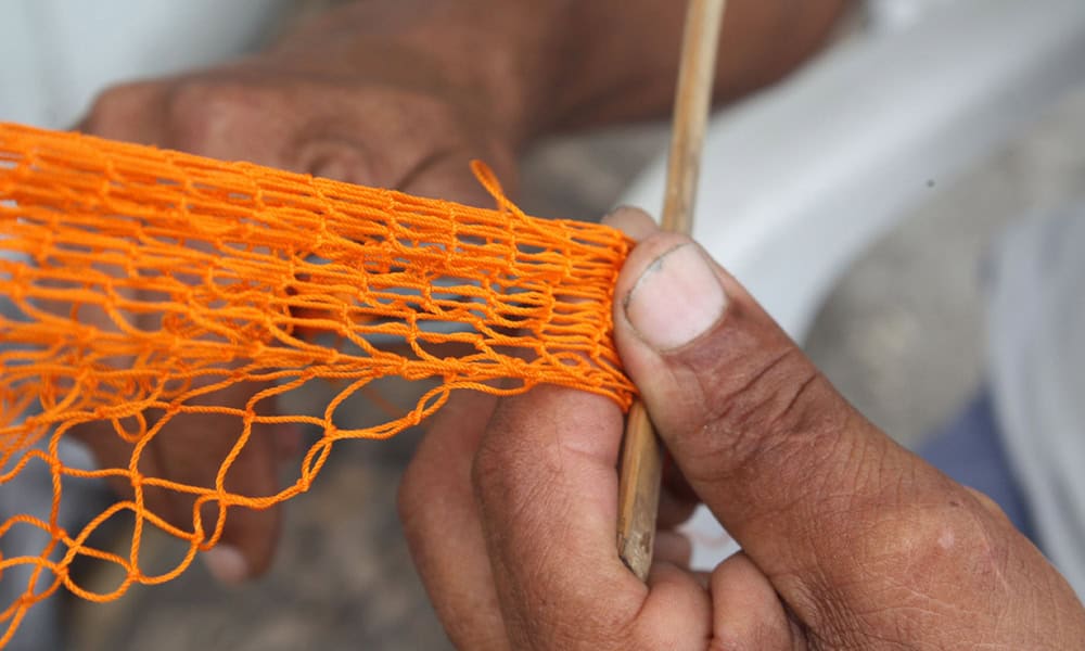 Costa Rica Illegal Fishing