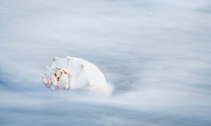 Collecting Shells in Costa Rica