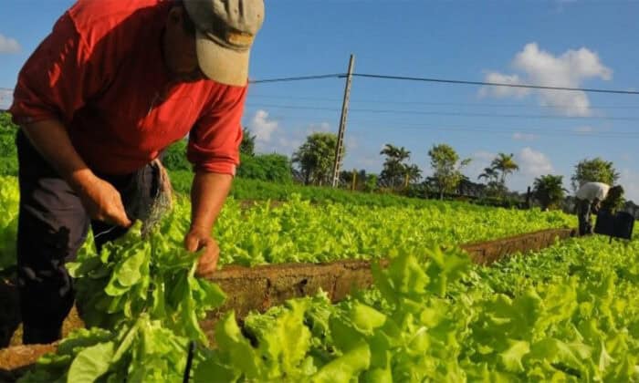 Costa Rica Agriculture Tariffs