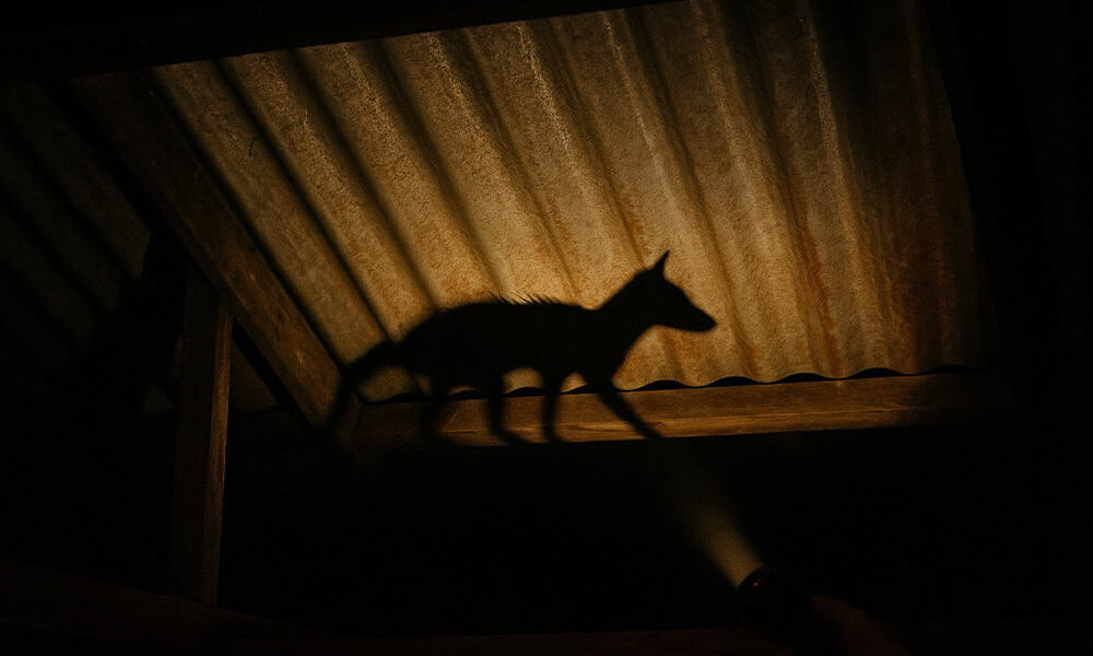 Costa Rica Expat House Living