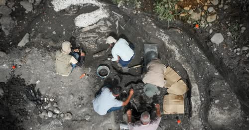 Costa Rica Fossil Discovery