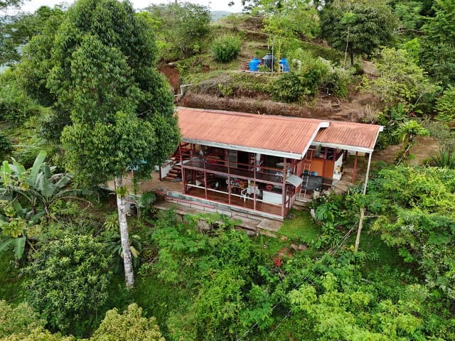 Spectacular Ocean View  Over Pacific – Birdhouse