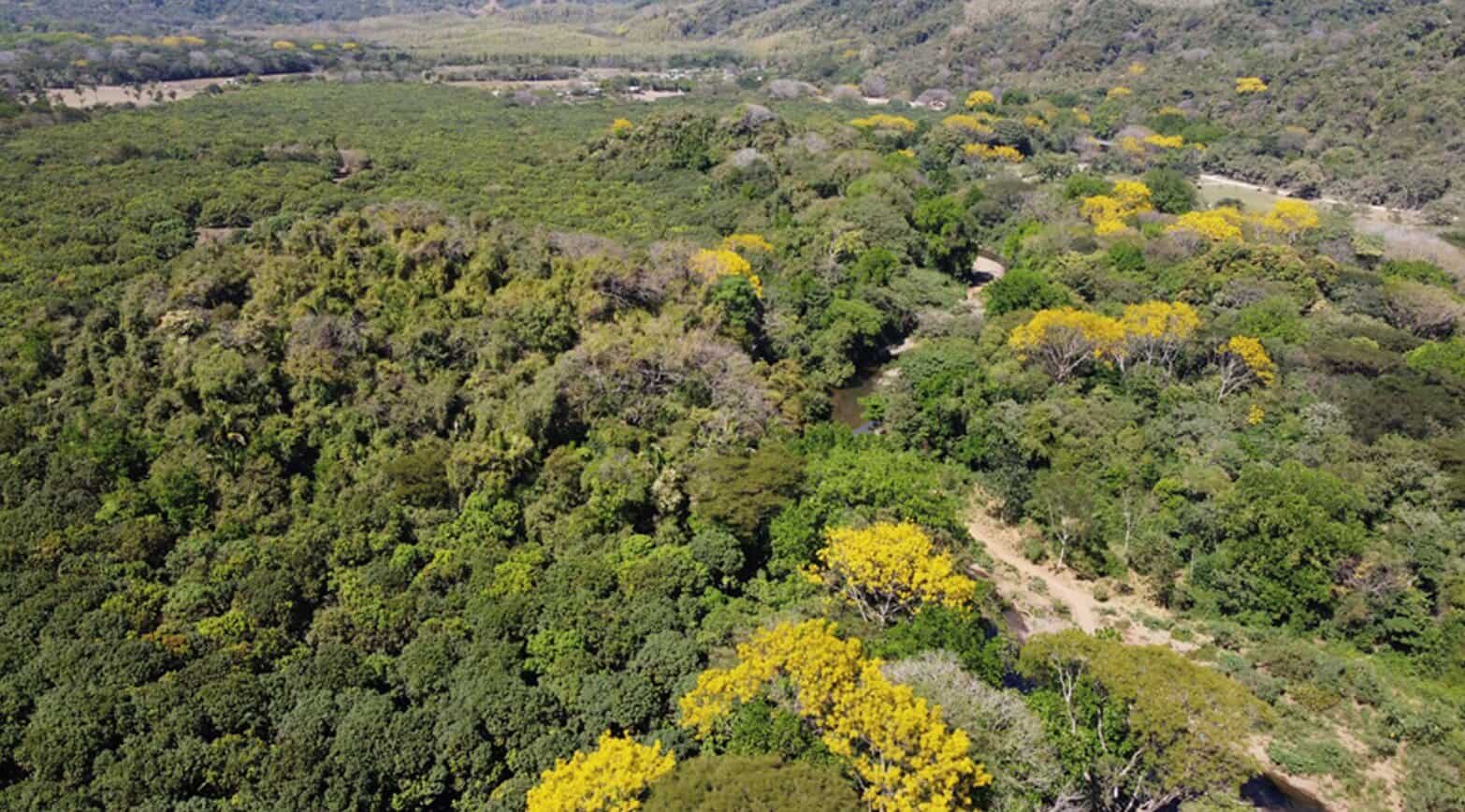 Nosara Voluntary Biological Corridor