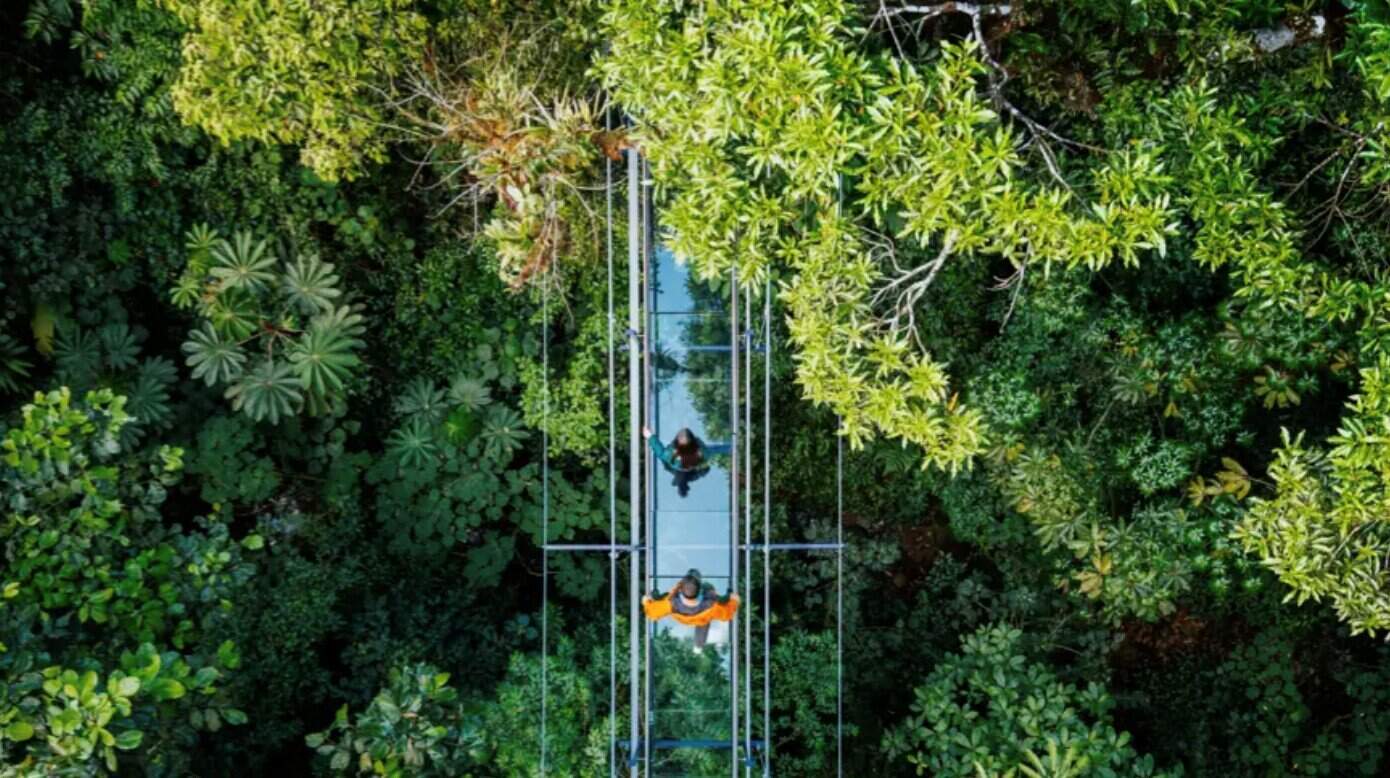 Costa Rica glass suspension bridge