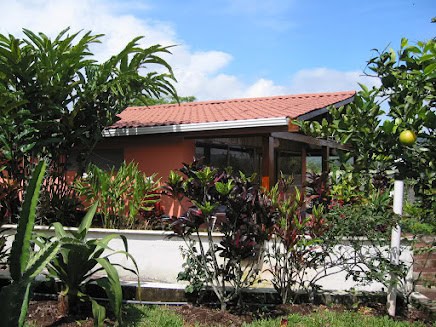 House For Rent Located In Palmares