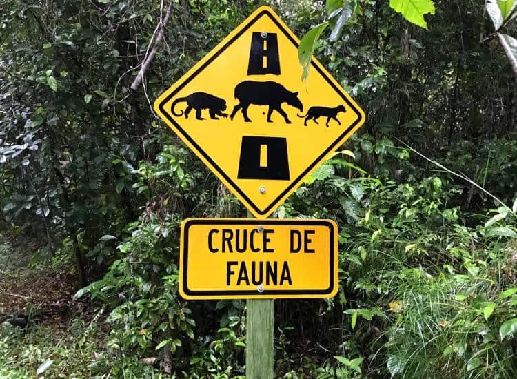 Costa Rica Wildlife Crossing Sign