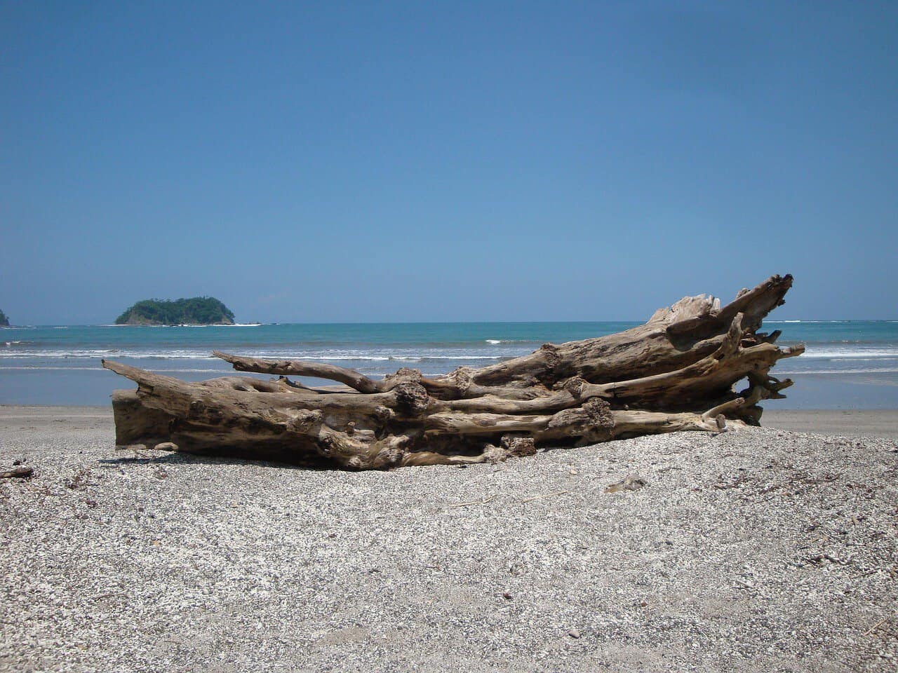 Costa Rica Beach with Tree