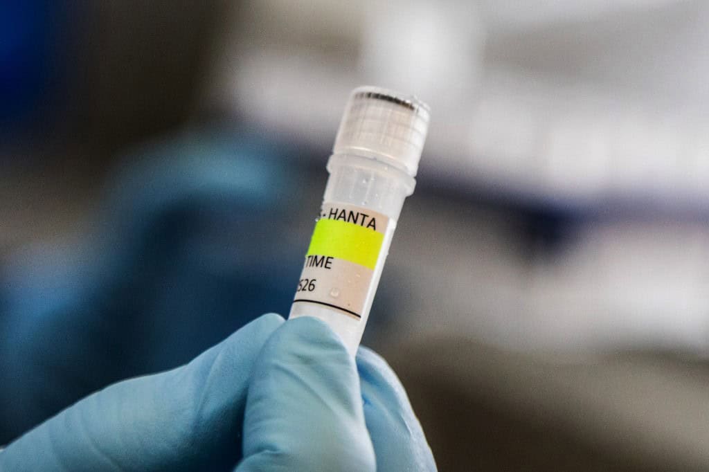 What Tourists Should Know About Hantavirus and Dengue in Costa Rica