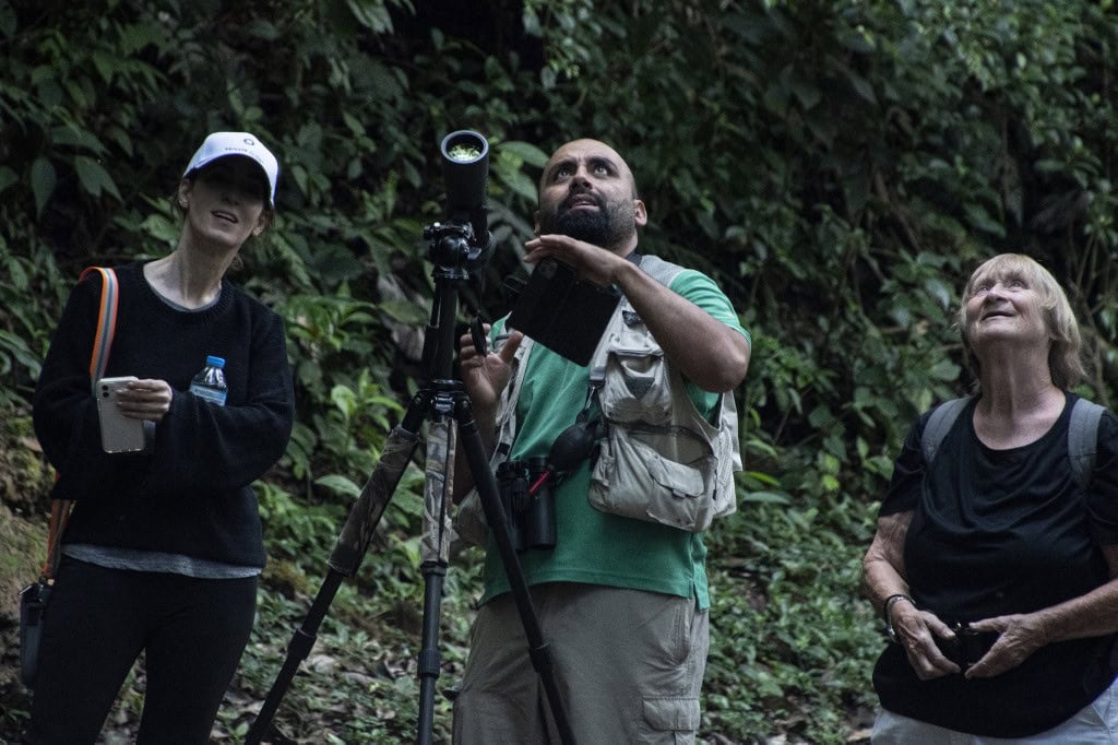 Costa Rica Forest Recovery