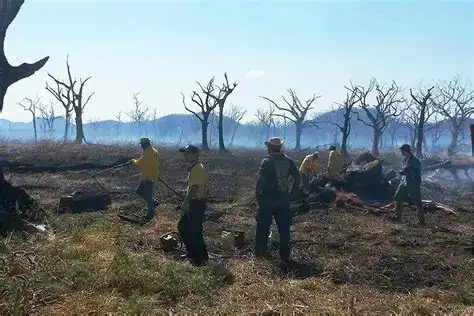Costa Rica Palo Verde Wildfire