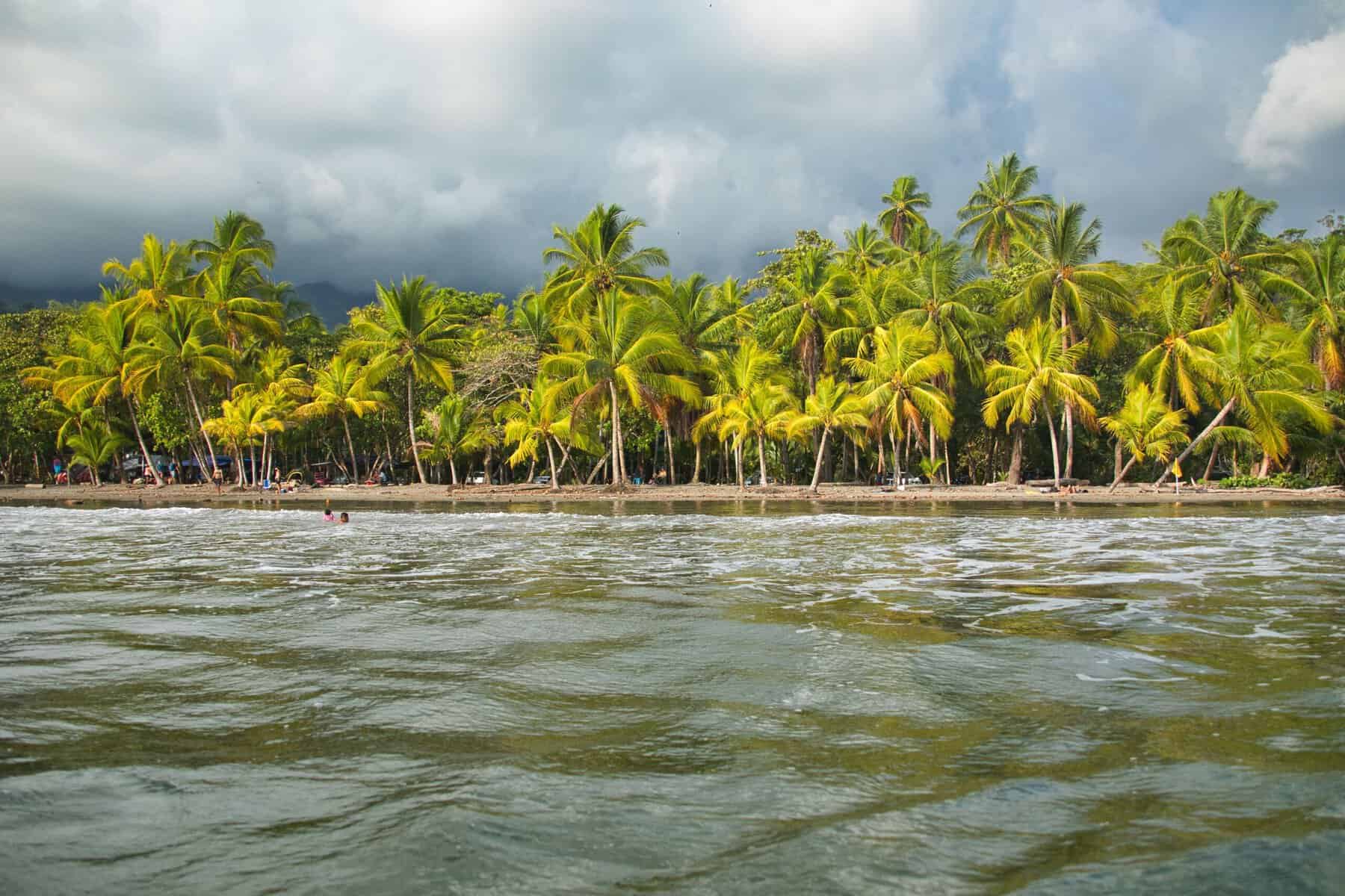 Costa Rica Beach with Palm Trees