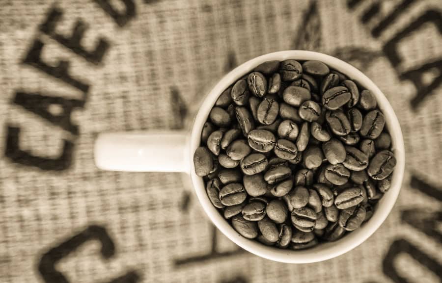 Costa Rica Coffee Cupping