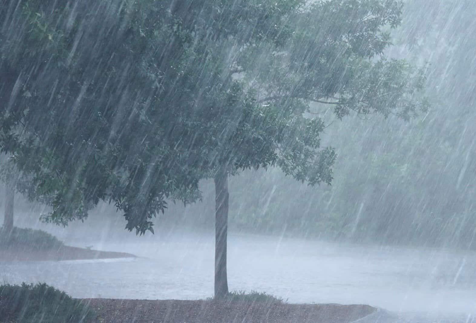 Costa Rica Tropical Wave 19 Rainstorm