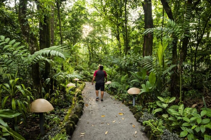 Solo Travel in Costa Rica