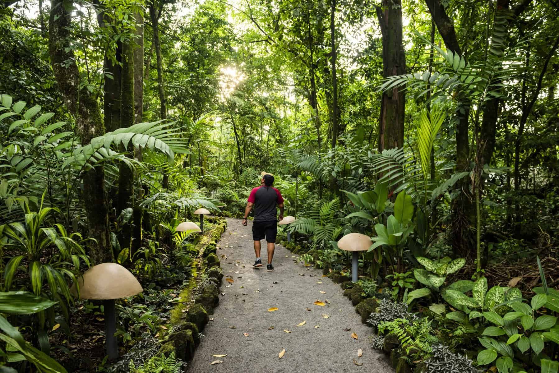Solo Travel in Costa Rica