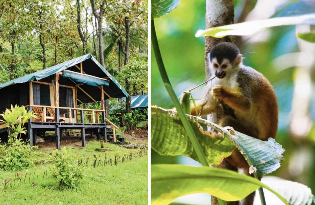 National Geographic Costa Rica Germany Addition