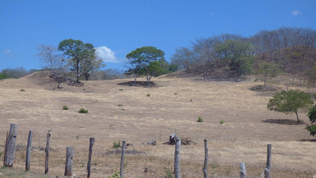 Dry weather in Guanacaste Costa Rica due to El Nino