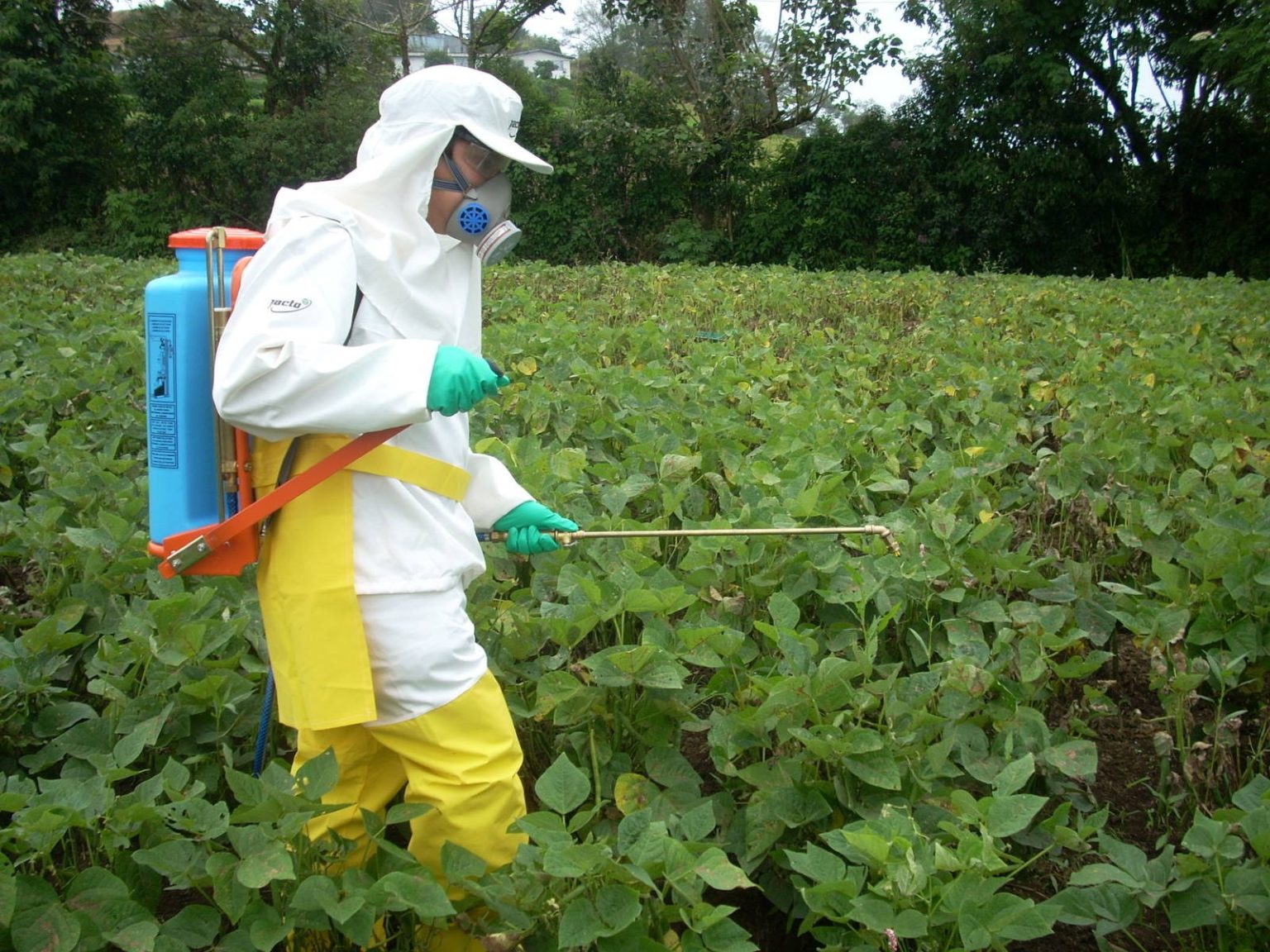 Vaesage Costa Rica Pesticide Use Tops Global Average by 10 Times